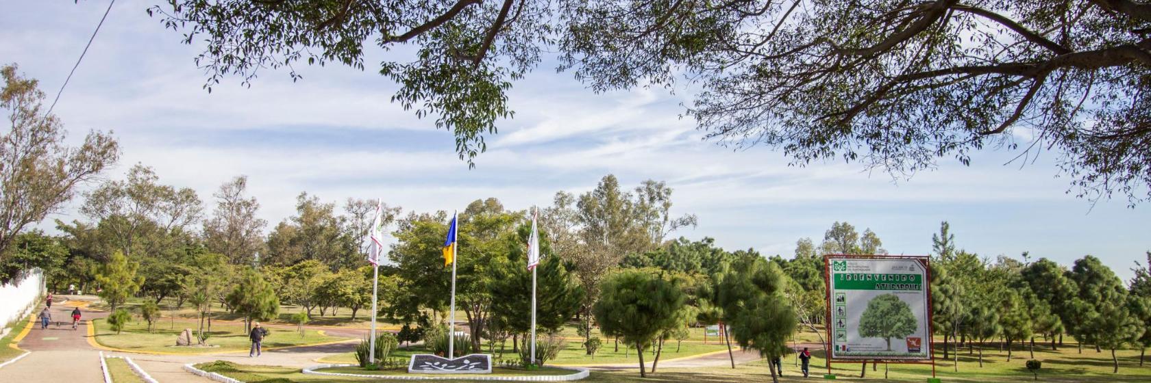 Parque Revolución