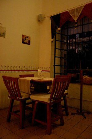 El Gato Café